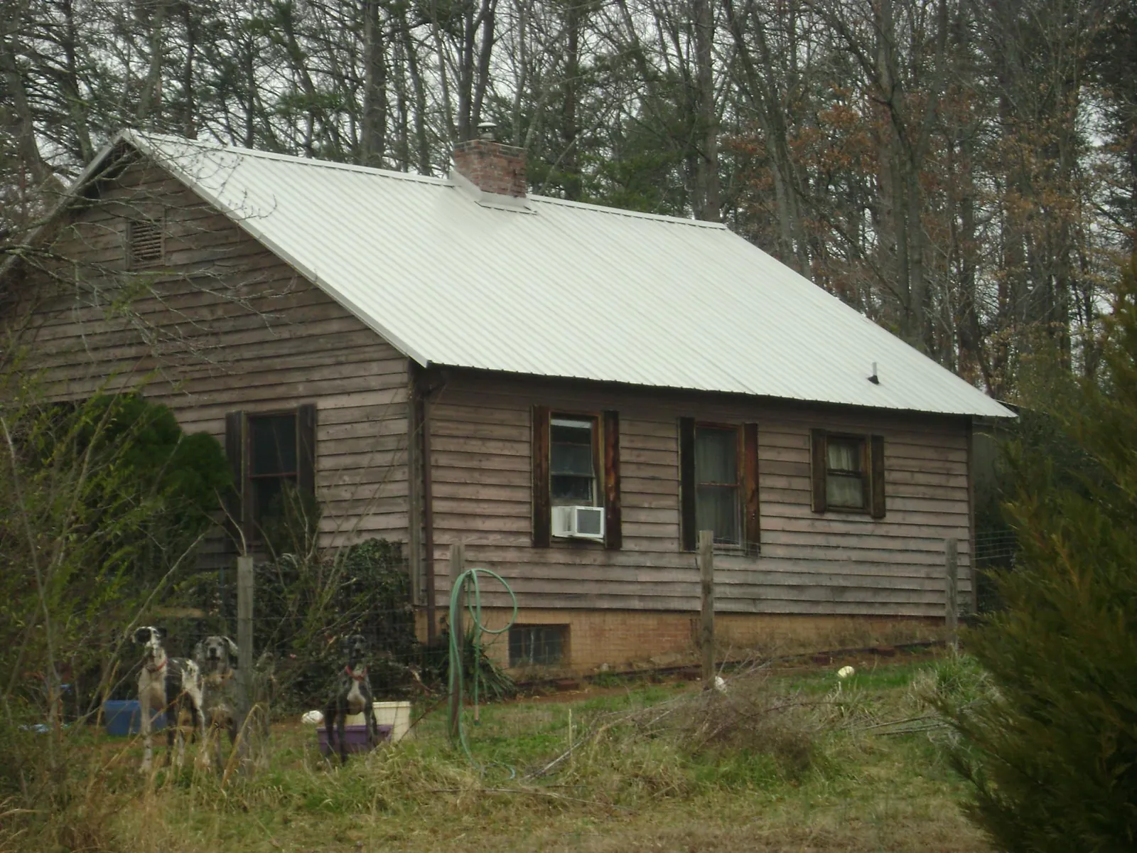 White metal roof on an old wood sided farmhouse, from a Asphalt Shingle Roof Repair job in Sunol